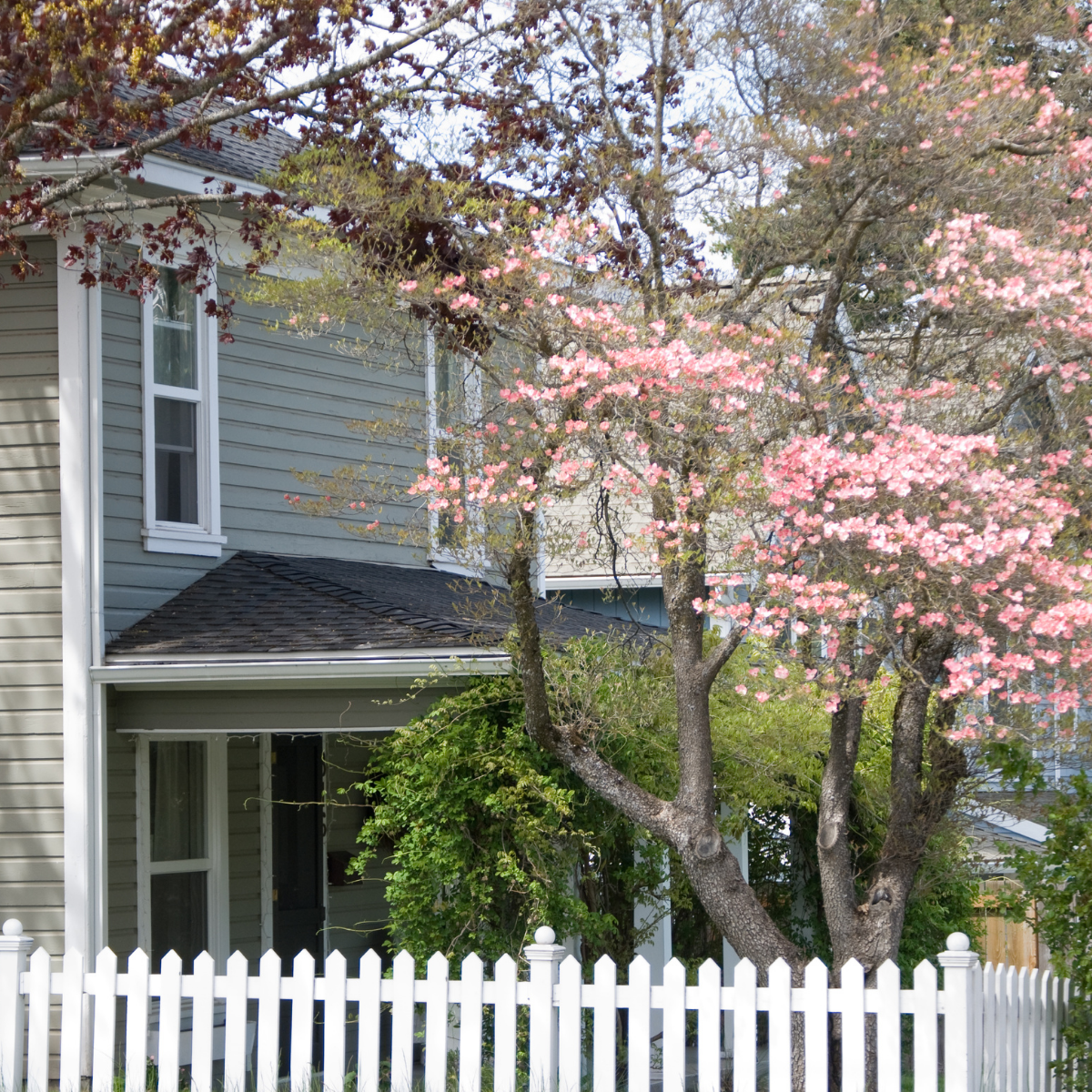 4 Easy Home Updates to Make This Spring