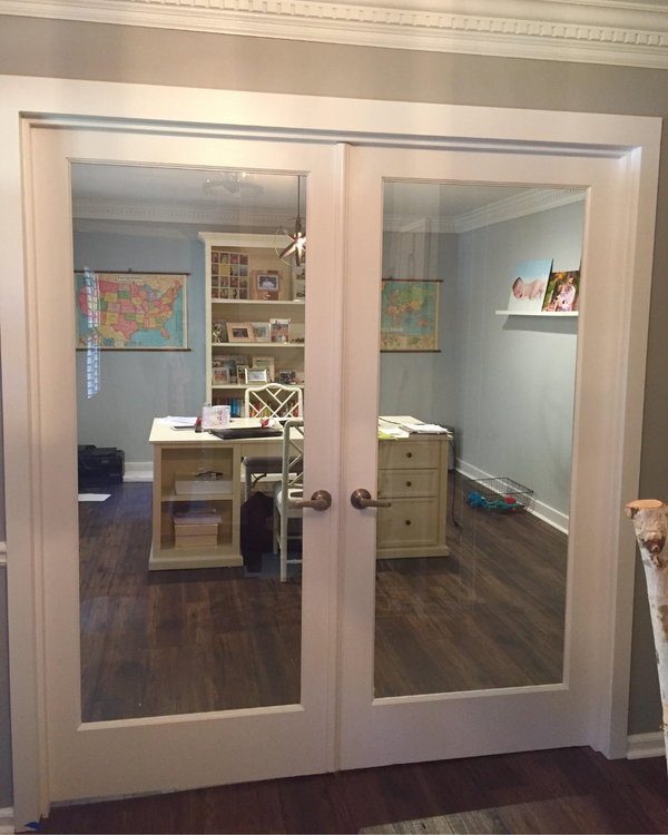 Single Lite French Interior Door (Primed)